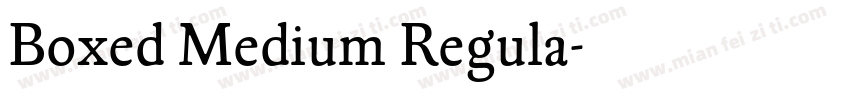 Boxed Medium Regula字体转换